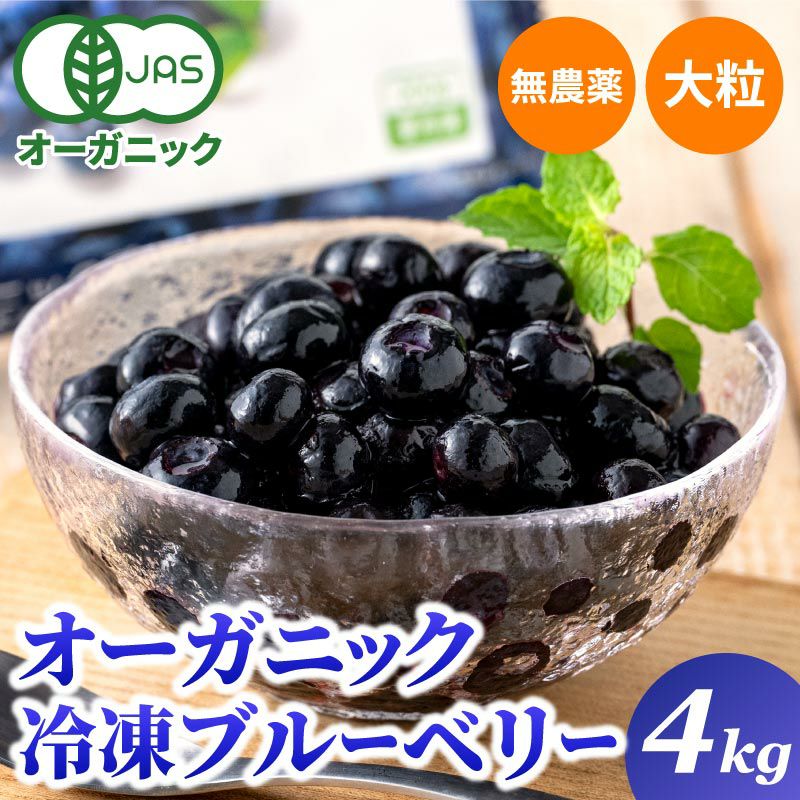 冷凍オーガニックブルーベリー3kg（200g×15パック） | 大五グルメ