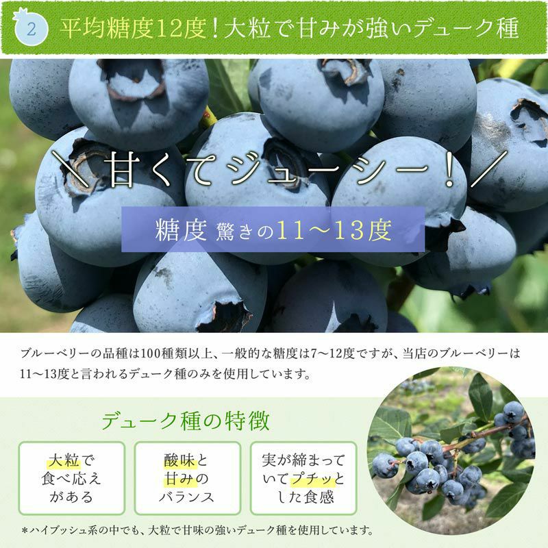 冷凍オーガニックブルーベリー4kg（200g×20パック） | 大五グルメ