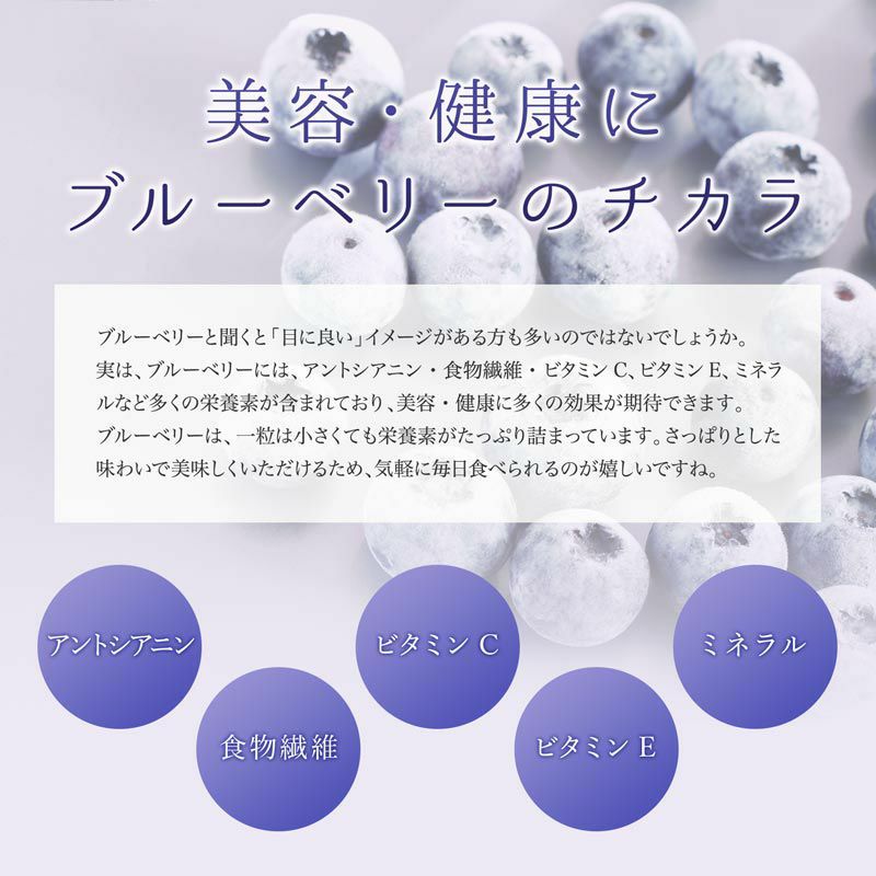 冷凍オーガニックブルーベリー4kg（200g×20パック） | 大五グルメ