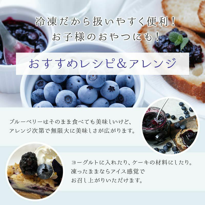 冷凍オーガニックブルーベリー4kg（200g×20パック） | 大五グルメ