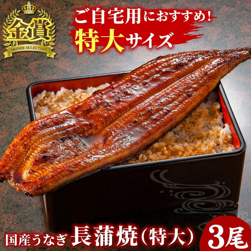 国産うなぎ 長蒲焼(特大) 5尾セット ご自宅用簡易箱 | 大五グルメ