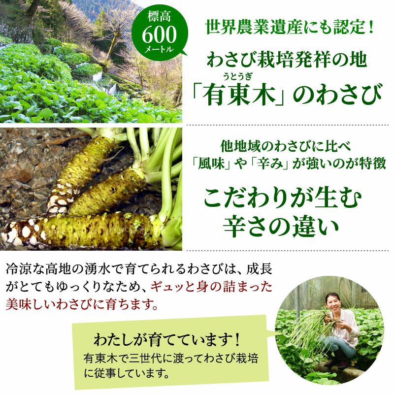 国産うなぎ白焼き1尾＆本わさび（中）セット | 大五グルメセレクション