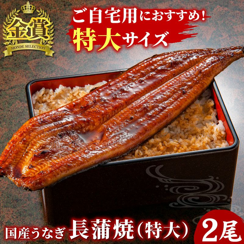 国産うなぎ 長蒲焼(特大) 2尾セット ご自宅用簡易箱 | 大五グルメ