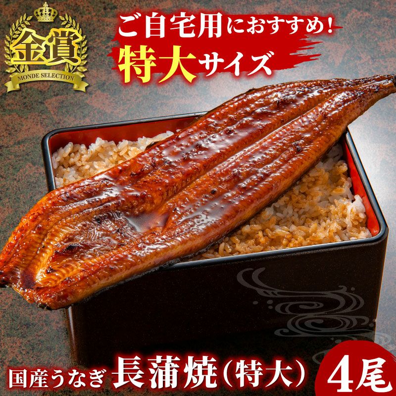国産うなぎ 長蒲焼(特大) 5尾セット ご自宅用簡易箱 | 大五グルメ