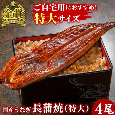 国産うなぎ 長蒲焼(特大) 2尾セット ご自宅用簡易箱 | 大五グルメ 