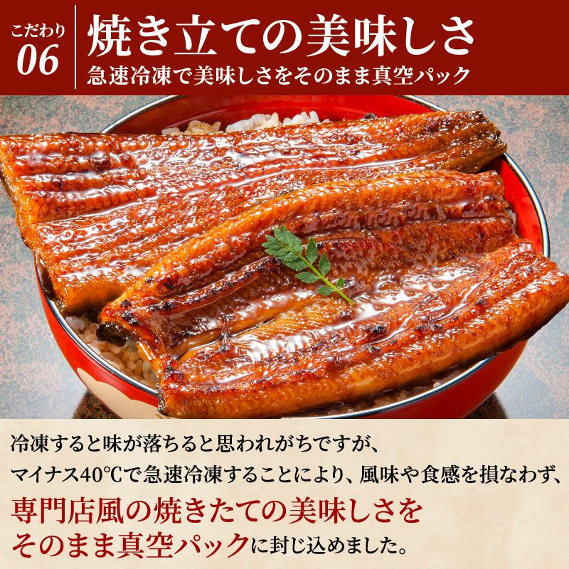 国産うなぎ 長蒲焼(特大) 5尾セット ご自宅用簡易箱 | 大五グルメ