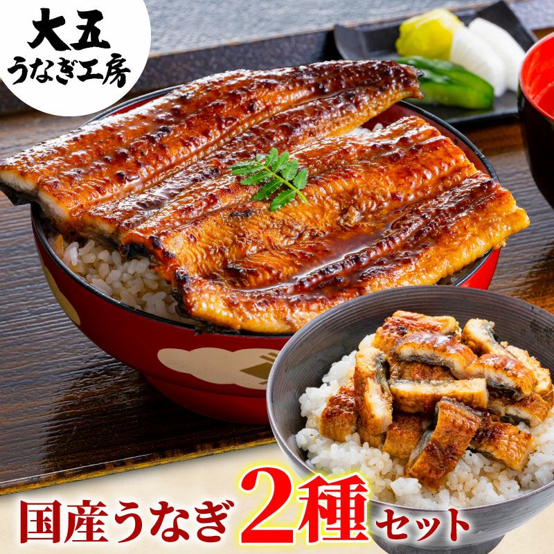 国産うなぎ2種セット（長蒲焼(大)1尾＆きざみうなぎ2パック） | 大五