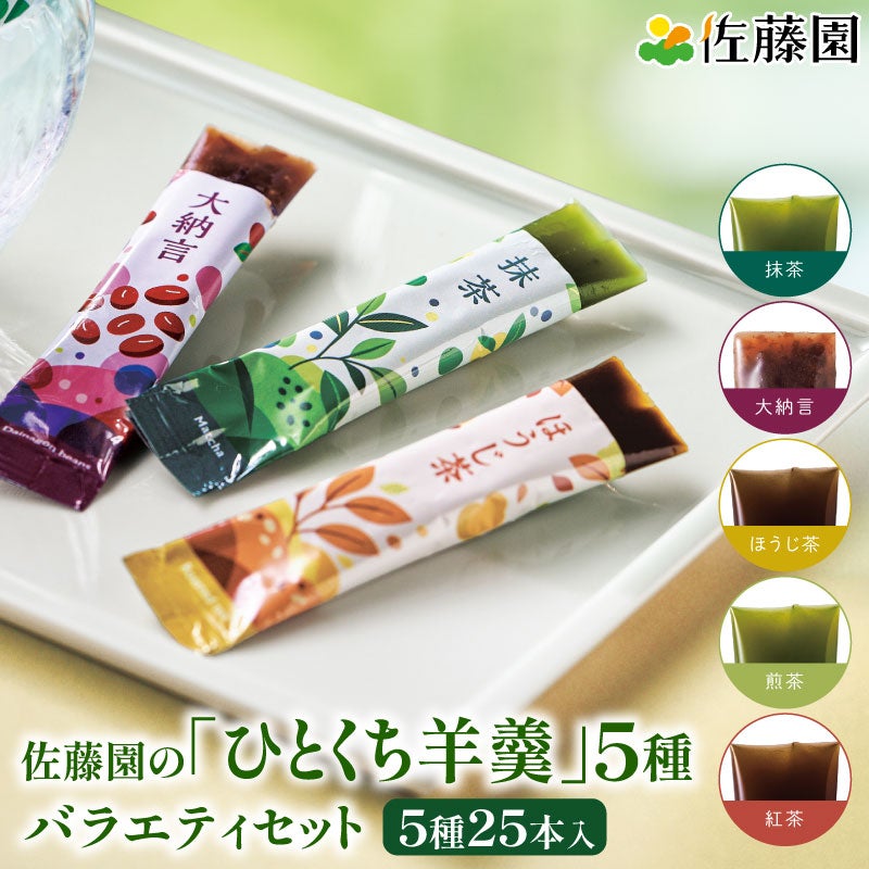 羊羹セット 佐藤園 ひとくち羊羹 5種バラエティセット 25本入